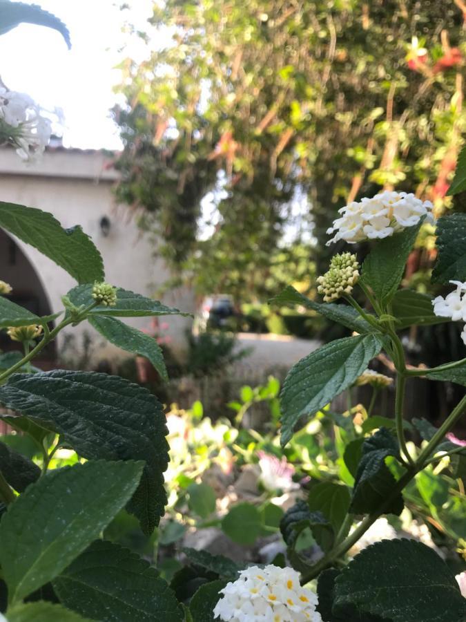La casa di Sergio Brindisi Esterno foto