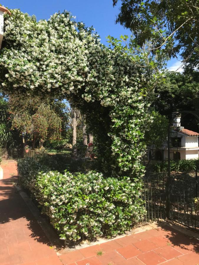 La casa di Sergio Brindisi Esterno foto