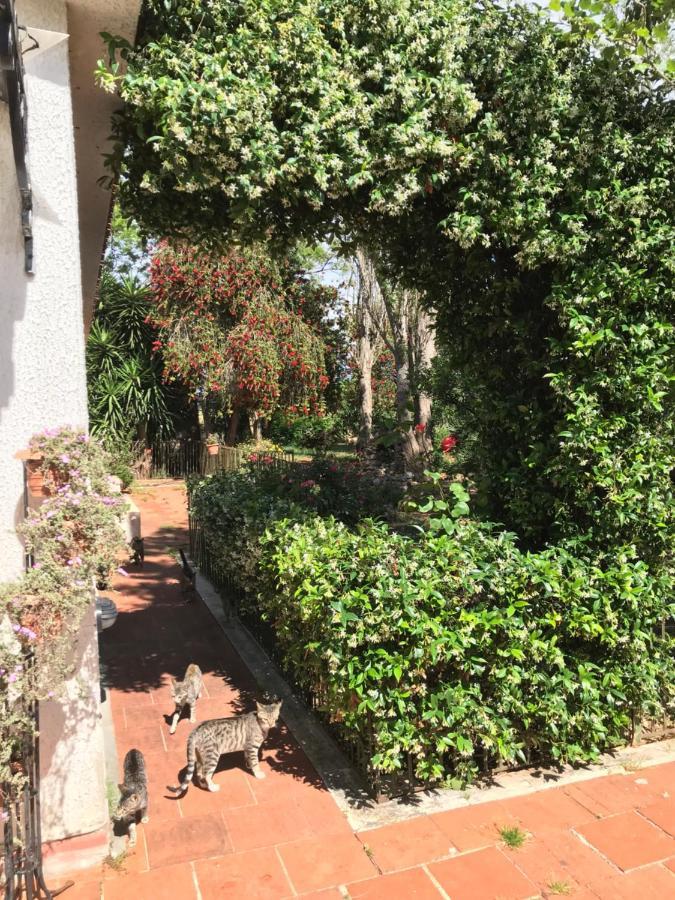 La casa di Sergio Brindisi Esterno foto